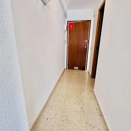 T1095 - Cornelia - 2004 Finestrat